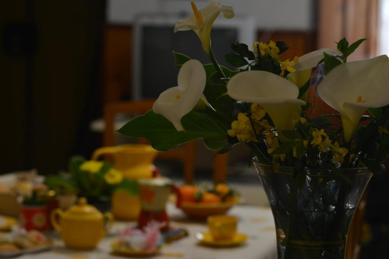 Casa Vacanze I Girasoli อีเกลเซียส ภายนอก รูปภาพ